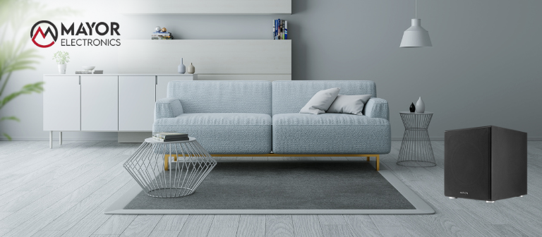 Fenton SHFS12B: Subwoofer Activo de 12” para Sonido Profesional y Profundo