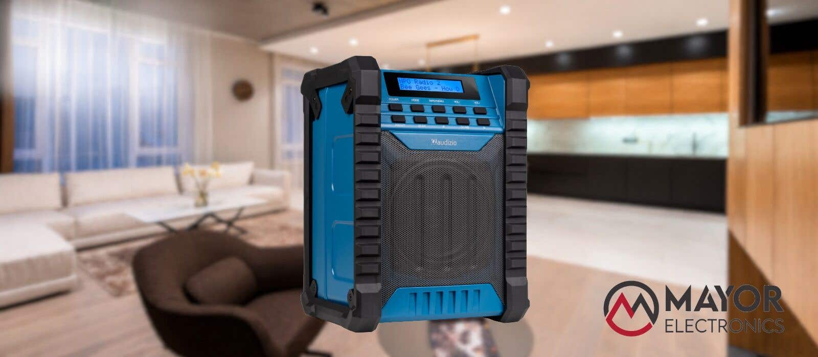Audizio Temi: la radio Bluetooth resistente para talleres y exteriores