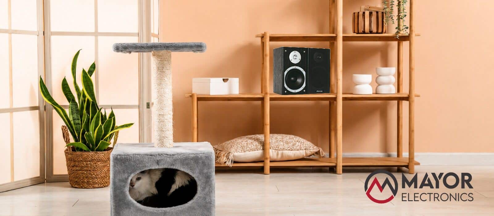 Fenton SHFB55B: Altavoces de Estantería Compactos con Sonido de Alta Calidad