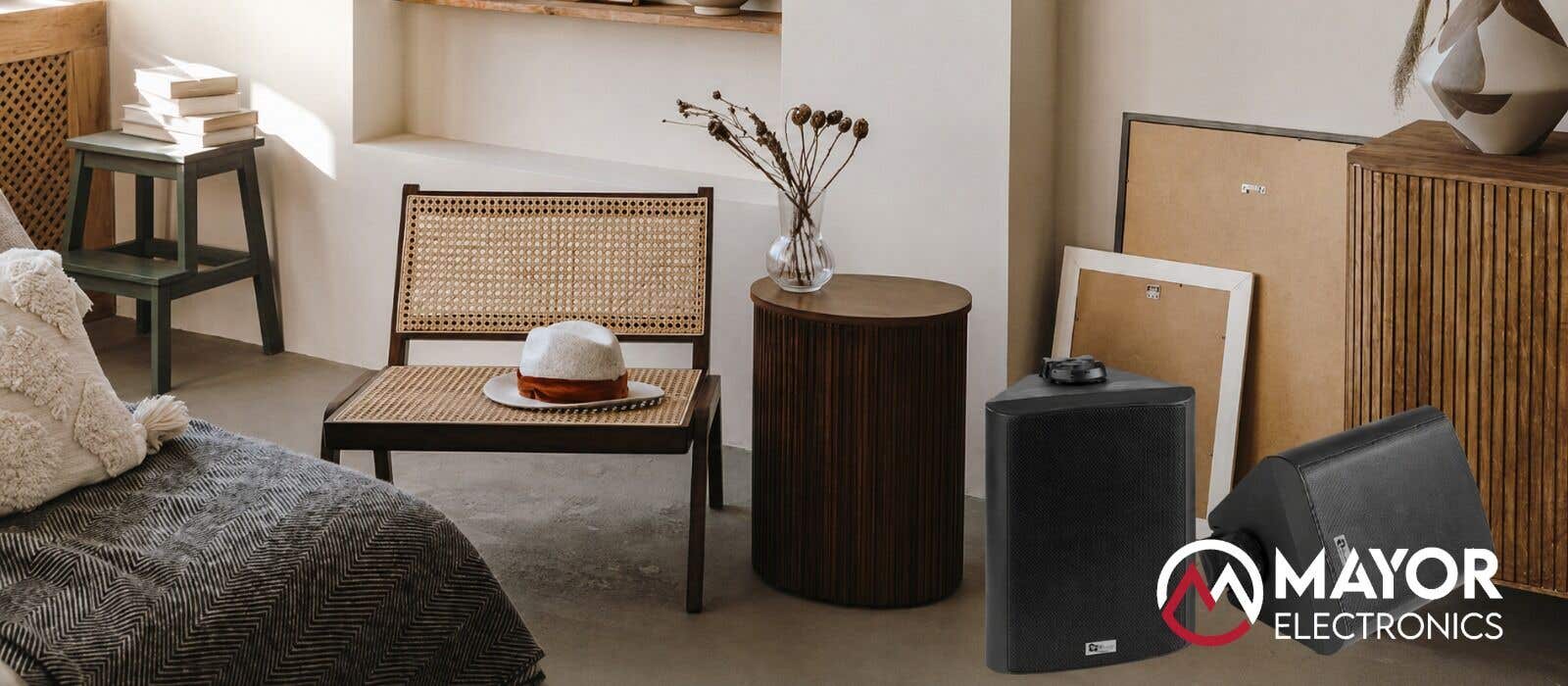 Power Dynamics BGB50: Altavoces Bluetooth de Alta Potencia para Interior y Exterior