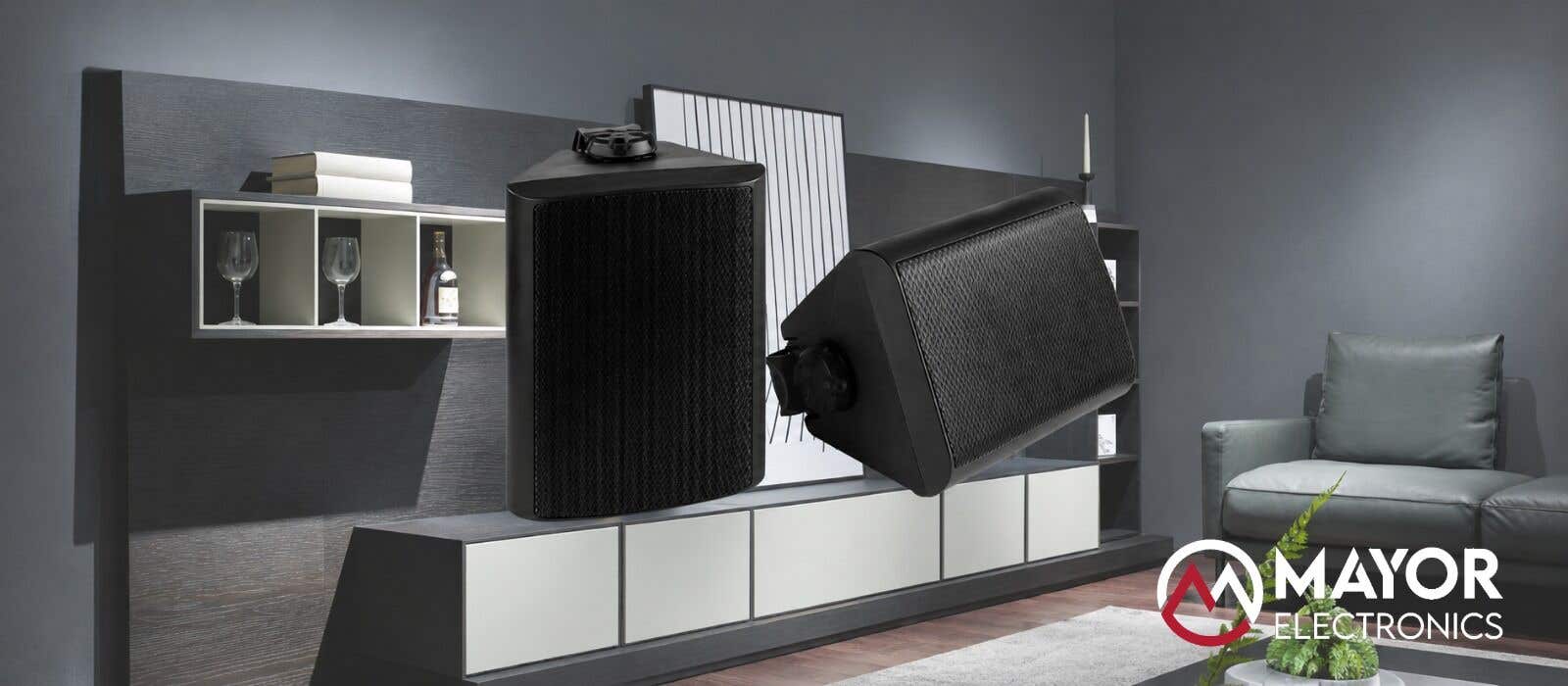 Power Dynamics BGO65: Altavoces Profesionales de 150W para Espacios Exigentes