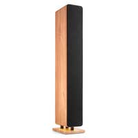 Audizio Arco – Altavoz de torre HiFi activo con Bluetooth, entrada óptica y USB y luces LED – Color madera clara