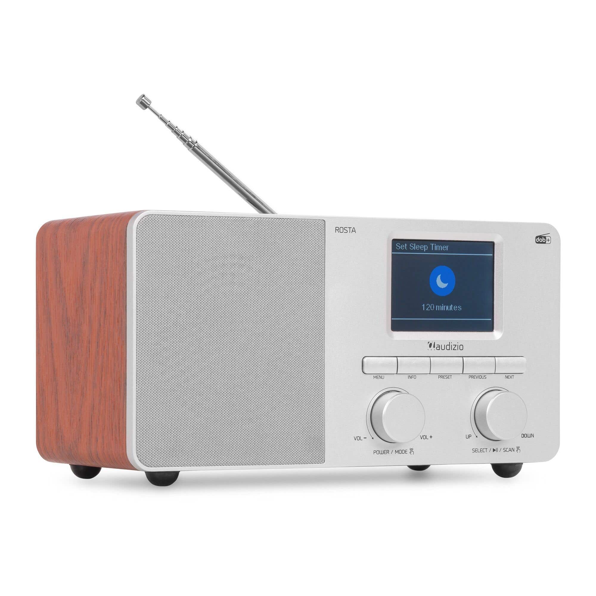 Audizio Rosta - Radio DAB+ y FM con Bluetooth 40W, pantalla TFT a color, USB y alarma, color aluminio