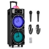 Fenton LIVE290 – Altavoz Bluetooth 2 x 8", 300W, karaoke con 2 micrófonos, batería, USB/SD y disco LED – Color negro