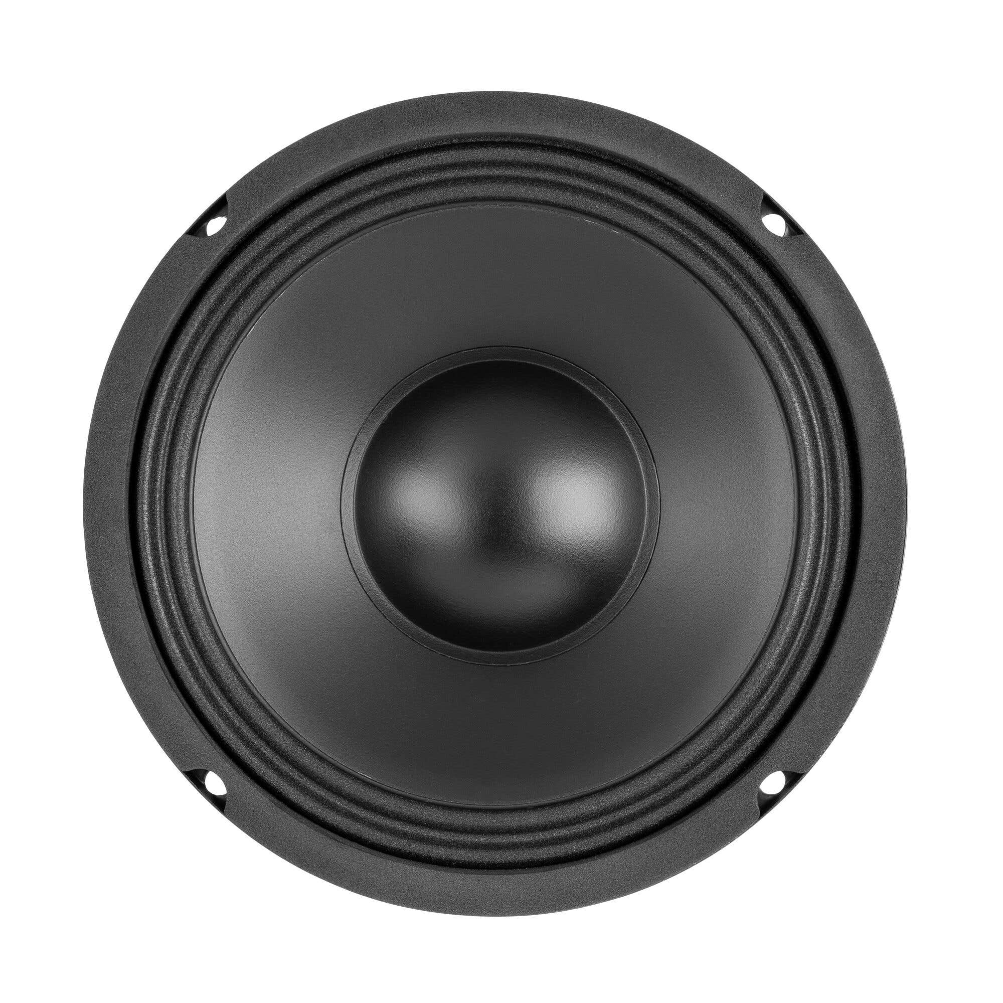 Fenton WPP25 Woofer PP Hi-Fi 25cm/125w - Woofer Hi-fi