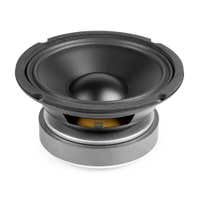 Fenton WP16 Woofer HI-FI cono PP con borde de gomaespuma, 16cm (6.5"), 100W rms, 8 Ohm
