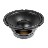 Fenton WPP25 Woofer HI-FI cono PP 25cm 125W